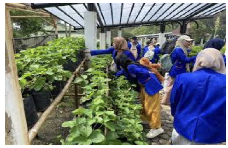 Front of men's Basic Tee in black.