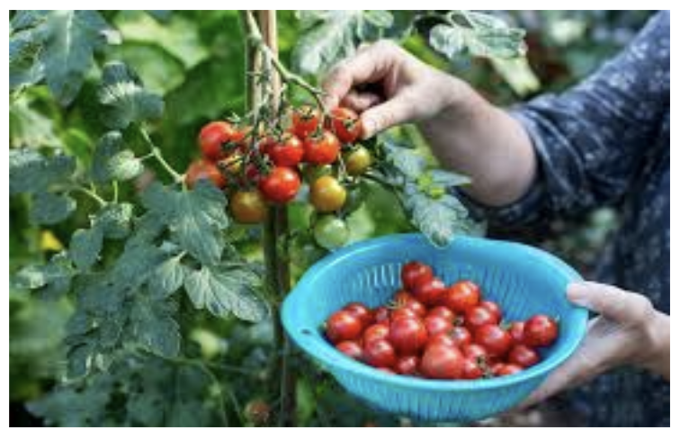 Front of men's Basic Tee in black.